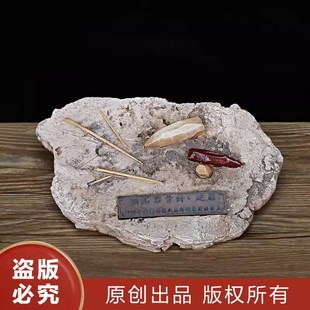 F103 黄帝九针西汉金针银针新石器骨针砭石 中医医院文化摆件教学