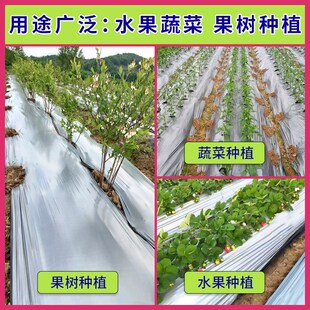 全新料银黑双色地膜农用反光地膜种植地膜大棚用驱虫防草农用薄膜