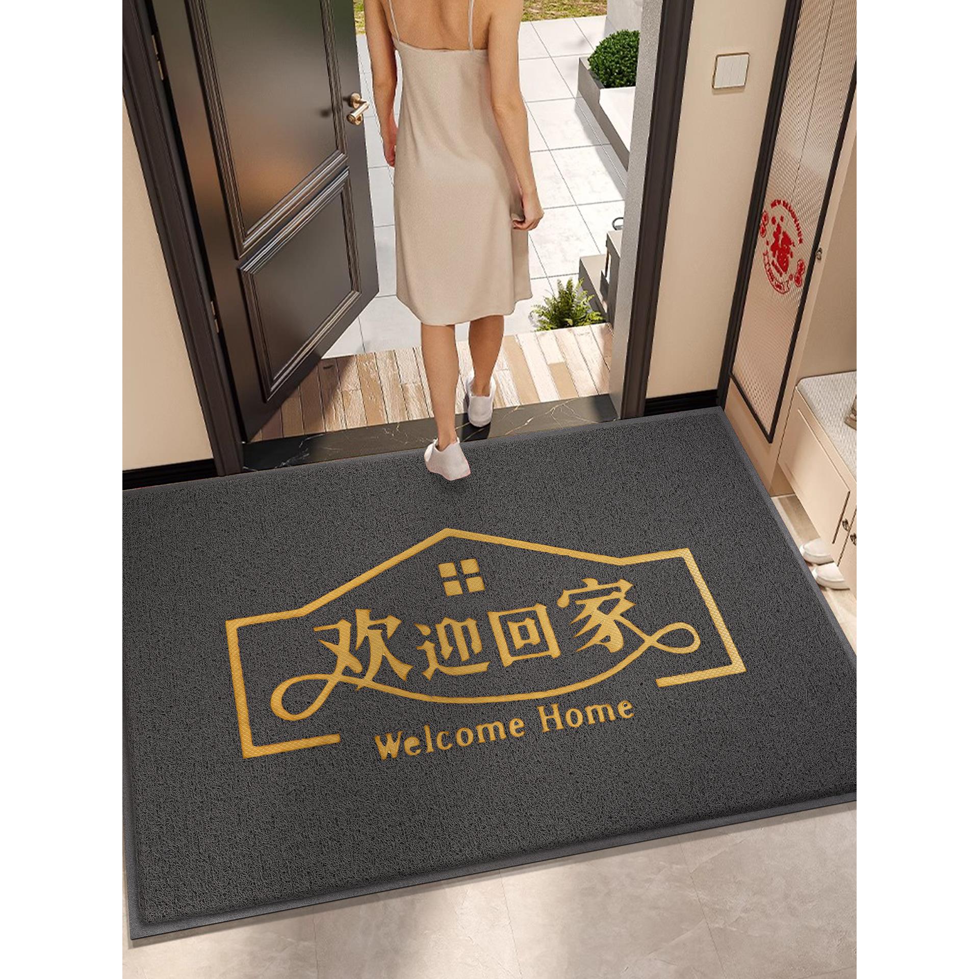 入户门地垫进门家用大门口脚垫进户门垫出入平安地毯门外丝圈垫子