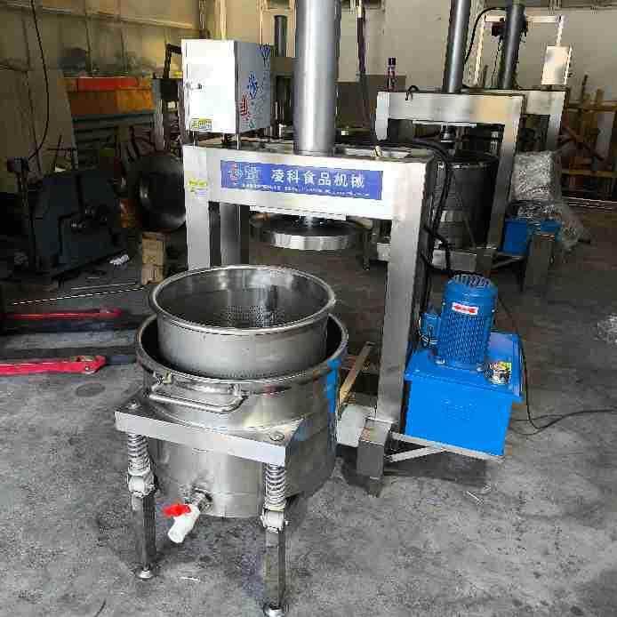 LY-500冷萃酸奶压榨机酸奶物理液压压榨机提升产量减少损耗,清洗/食品/商业设备,其他食品加工设备,淘宝优惠券,粉丝福利购,淘宝优惠卷