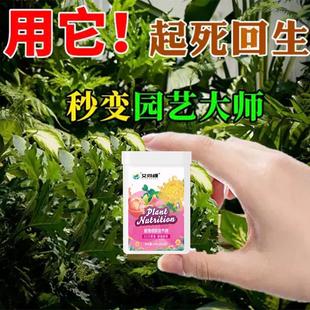 家用花肥料养花植物通用型氮磷钾多肉盆栽有机花卉园艺颗粒缓释肥