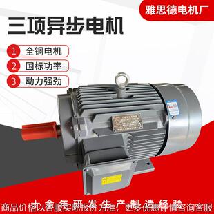 100 380 2极 现货铜芯 三相电机厂家供应 3.0三相电动机