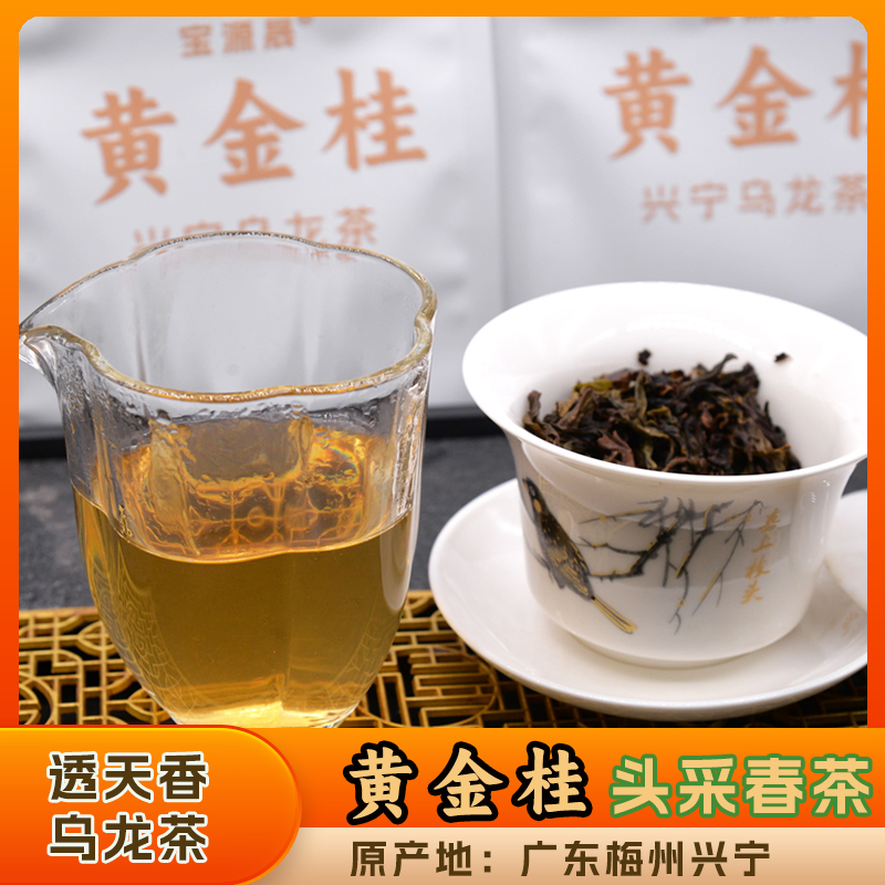 黃金桂高香烏龍茶2025年頭采春茶