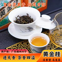 興寧黃金桂烏龍茶2025頭采春茶