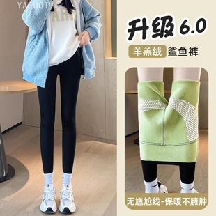 锦纶鲨鱼裤 芭比裤 女加厚加绒保暖 外穿提臀收腹瑜伽裤 亚珞媞秋冬季