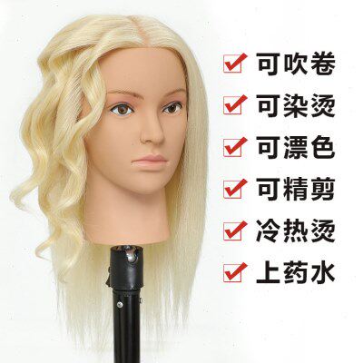 美发头模理发学徒剪发电卷棒练习假人头模型可烫染编发公仔模特头