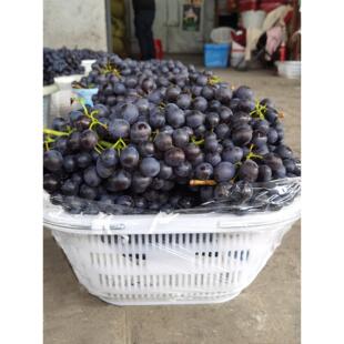 水果篮10斤15斤20斤装塑料篮手提白色草莓采摘篮大号水果葡萄胶框