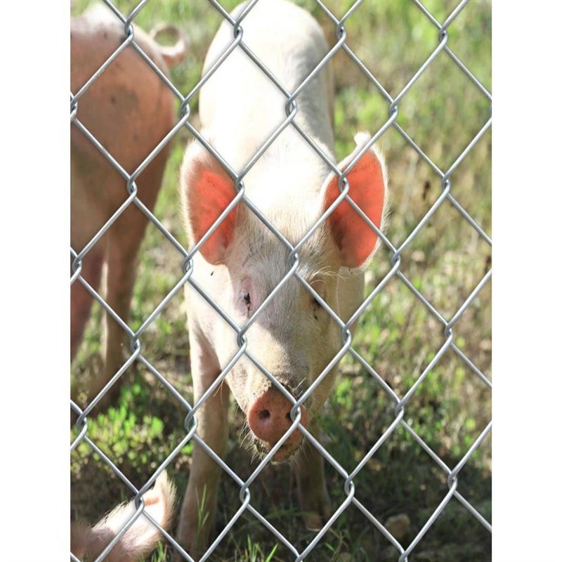 热镀锌铁丝网围栏养殖网圈地围果园牛羊猪狗笼钢丝网加粗防锈防护