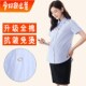 夏短款 孕妇衬衫 工作服上班衬 纯棉职业条纹工装 半袖 春秋长j袖 新款