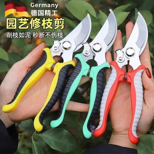 德国精工修枝剪树枝剪刀枝园艺果树修剪竹签园林花卉专用花艺剪子
