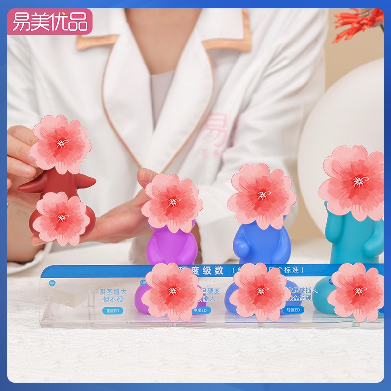 男性丁丁软硬大小程度科普模型一触究竟医学科普性功能辅助用具