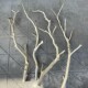 干树枝原木杈艺术干枝枯枝枯木树干鸟架造型壁挂衣架吊顶树枝装 饰