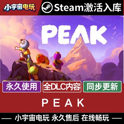 Steam正版【PEAK 拉我一把】 私服联机 国区CDKEY激活码CDK入库