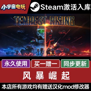 风暴崛起 CDKey 永久入库 全dlc STEAM游戏全球区激活码