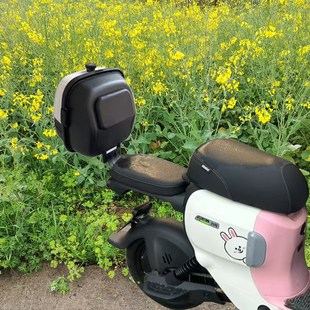 九号电动车A2z35C A2z90后备箱尾箱储物收纳雨衣雨伞充电器 A2z40