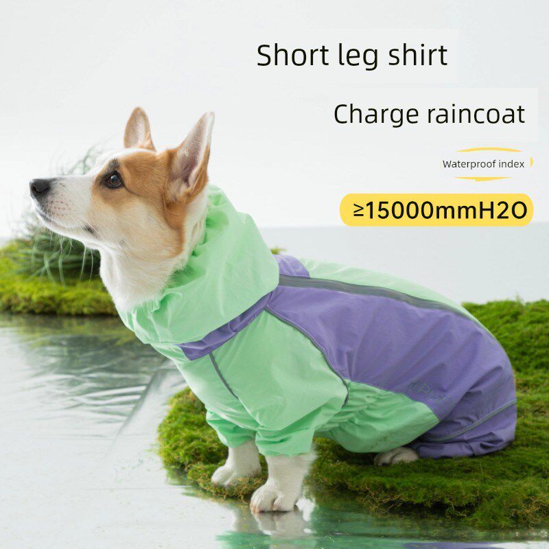 宠物雨衣柯基犬雨衣中小型犬全天候穿着,雨天出门防水防雨