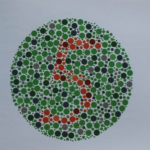 辩色图谱 卫生教学器材配套 多品种整体包采购可对折