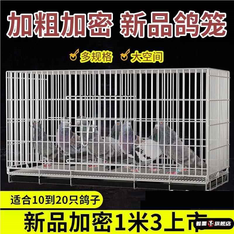 加粗鸽子笼鸽子用品用具鸽子配对笼养殖笼子金属折叠大号