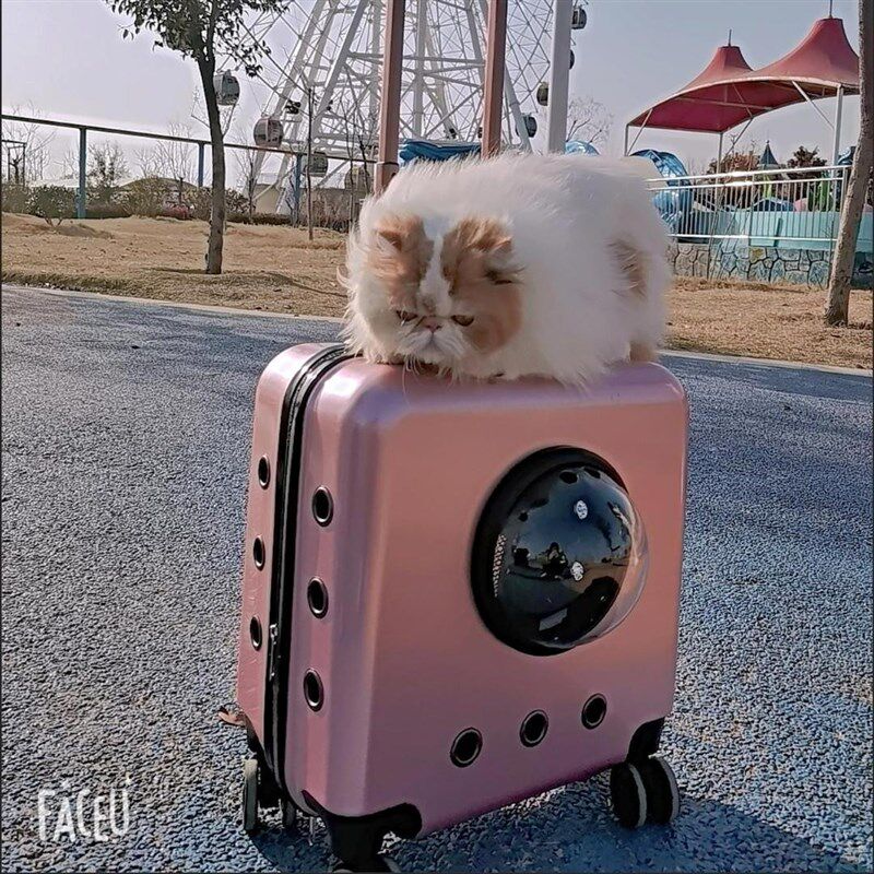 新款大空间宠物外出箱宠物拉杆箱猫狗宠物箱万向轮猫咪就诊看病箱