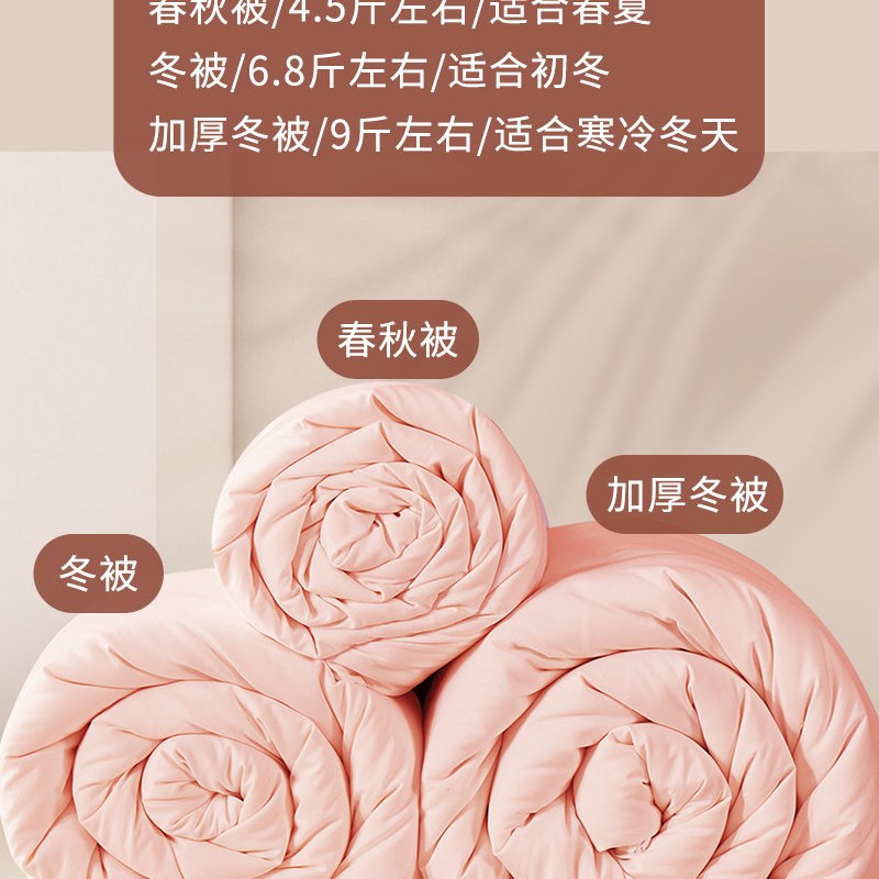 大豆纤维冬被全棉提花棉被加厚被芯保暖冬被子N2m2.2米秋冬床上被