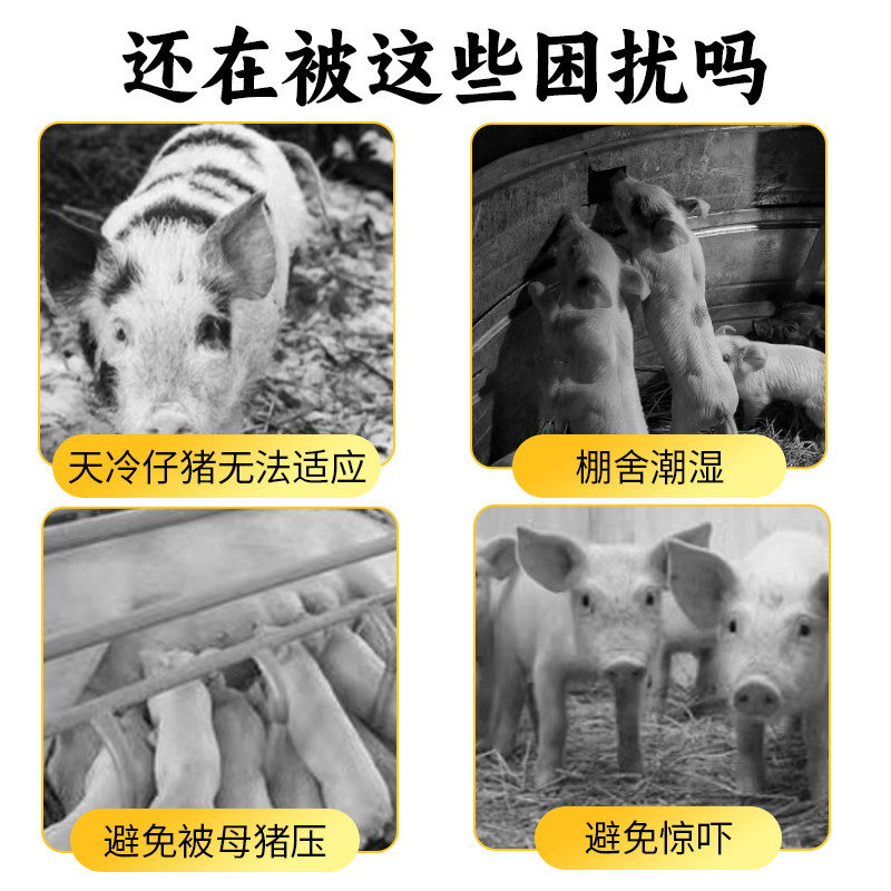 仔猪保温箱小猪加厚取暖箱加厚加大母猪产床保温箱小猪塑钢保温箱