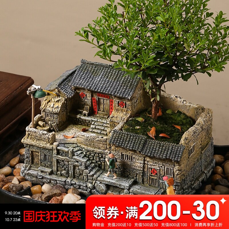 文竹盆景植物室内k小盆栽客厅办公室桌面微景观造景老房子模型摆
