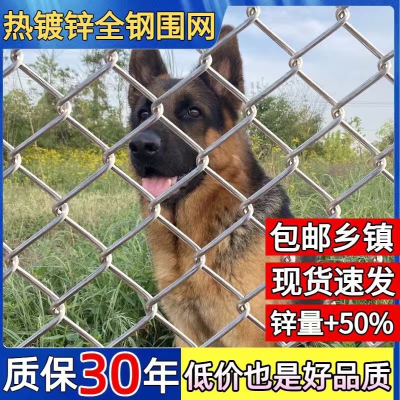 镀锌不生锈铁g丝网围栏养鸡防护网钢丝网养殖网果园菜园栅栏护栏