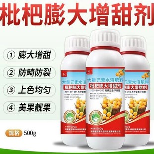 枇杷膨大剂膨果肥大果灵枇杷座果增甜膨大素甜蜜素枇杷专用叶面肥