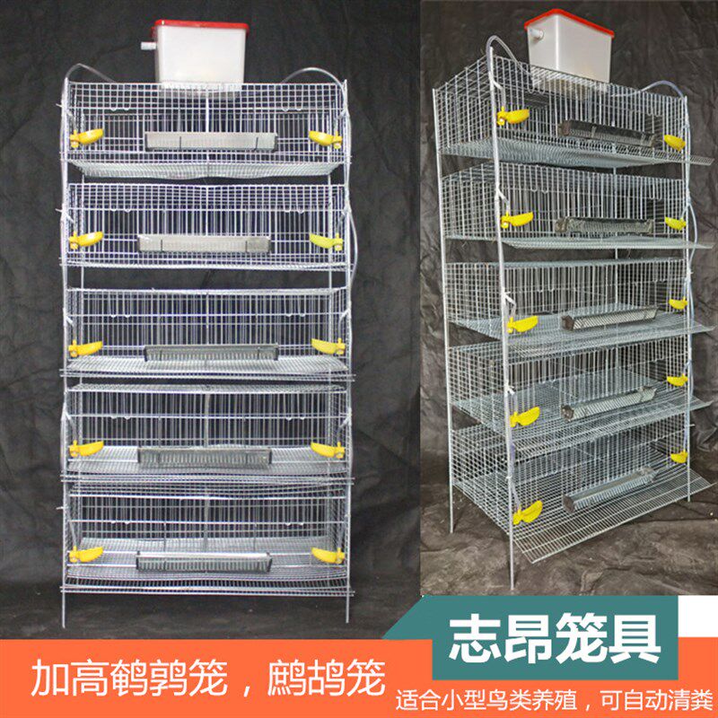 鹌鹑笼鹧鸪笼加高25cm层高立式鹌鹑笼鹧K鸪笼可自动清粪多层养殖