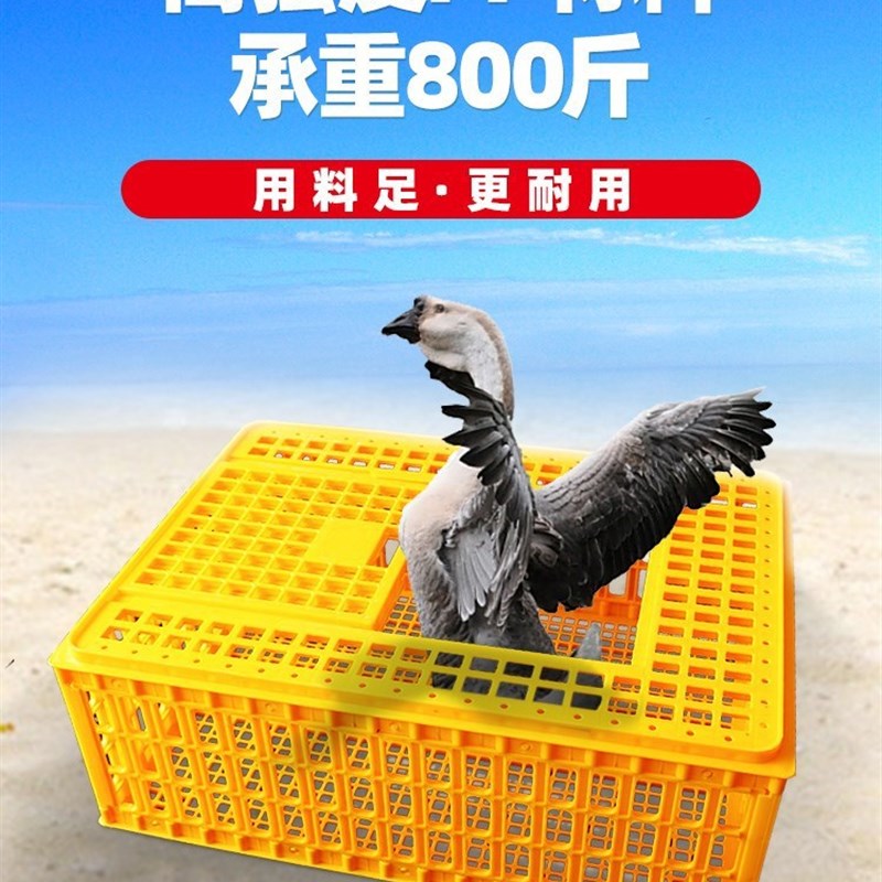 家禽周转箱鸡笼运输笼塑t料筐成鸡鸭鹅鸽子笼子家用大号兔笼养殖