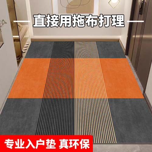 可擦免洗入户门厅k地垫地毯耐脏pvc皮革2024新玄关进门口换鞋脚垫