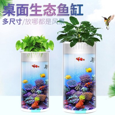 圆柱小鱼缸水族箱家用小型免换水生态H缸超白玻璃办公室桌面鱼缸