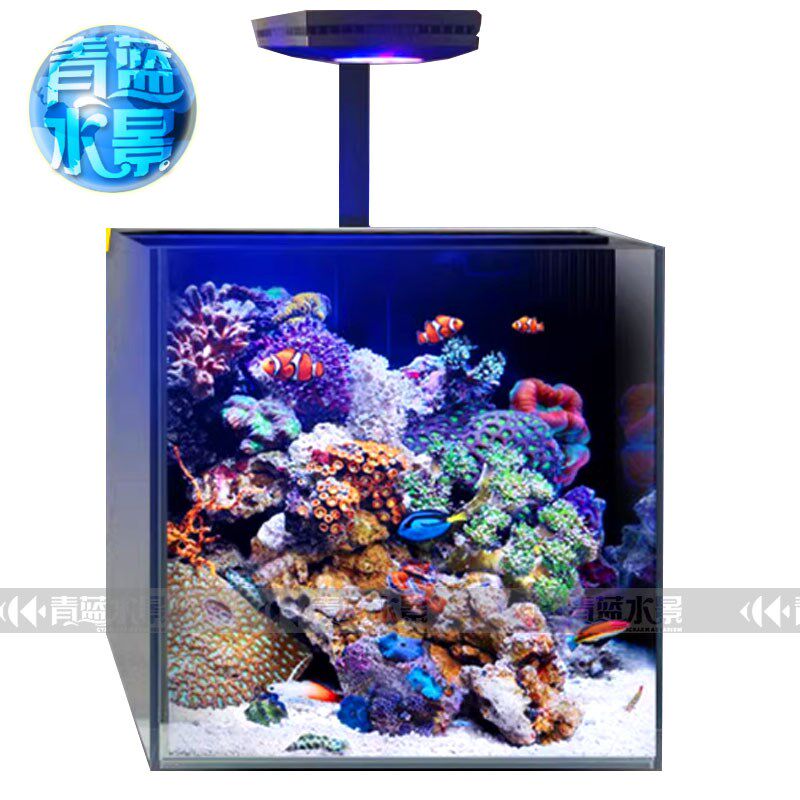 海水背滤海缸套餐青蓝水族新款玻璃小缸珊瑚桌面新手微缸海水缸