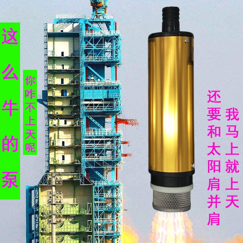 抽油泵柴油12Vj伏抽水泵24V电动微小型潜水自吸泵直流加油机抽油
