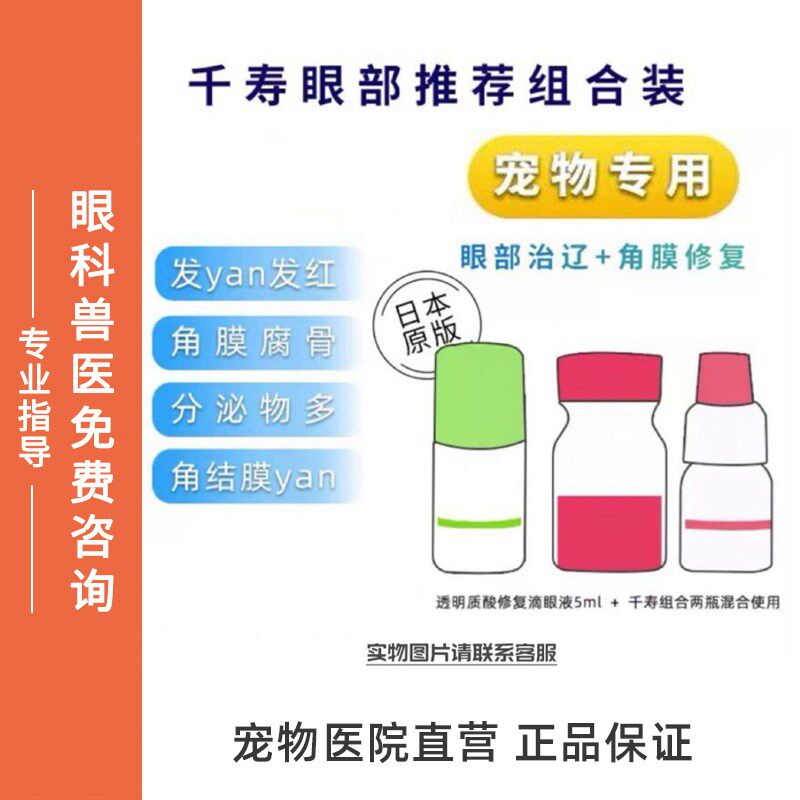 宠物角膜溃疡角膜穿孔溶解腐骨大泡性角膜炎专用滴眼液点眼液
