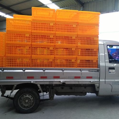 塑料鸡笼运输鸡筐鸡框周转成鸡箱鸭笼鸽笼箱鹅笼家用加厚运输笼子