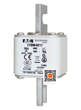 保险170m4008 4009 170m4010 4011 170m4012 4013保险丝