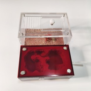 蚂蚁生态箱混凝土平面蚁巢学生宠物蚁后繁殖窝超大型工坊可拓展巢