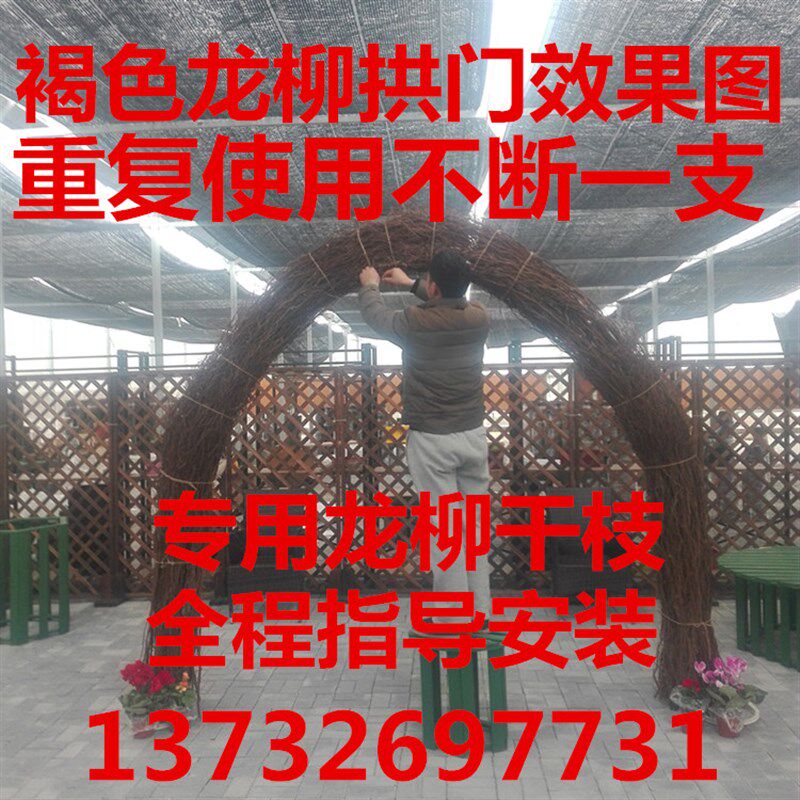 干枝干花鲜枝龙柳干枝,婚庆拱门,橱窗装饰花隔断龙桑干枝