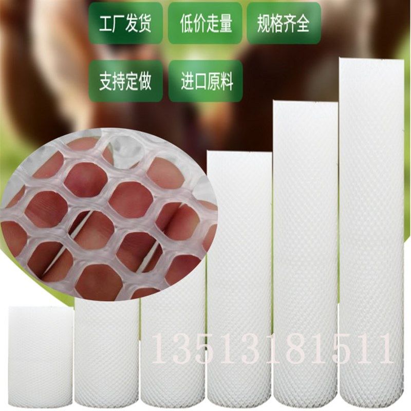 塑料养殖网养鸡育雏脚垫漏粪平网片小孔整卷养蜂网阳台围栏防护网