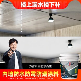 内墙专用防水防j霉涂料室内背水面防潮材料返碱白色自刷负压补漏