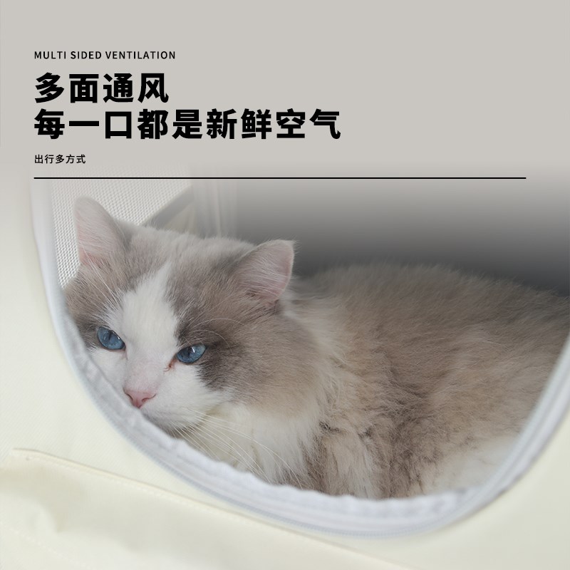 猫包外出便携猫背包大容量宠物太空舱携带猫狗箱子双肩背猫咪书包