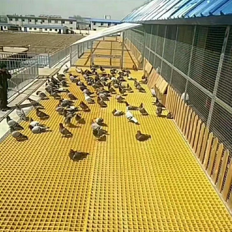 养殖鸡鸭鸽舍地网光伏走道板玻璃钢格栅洗车房排水沟格栅树篦子网