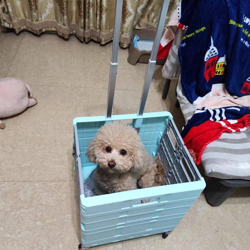 折叠便携手拉车小推o车购物拉车易收纳拖车行李大容量拉杆车取快