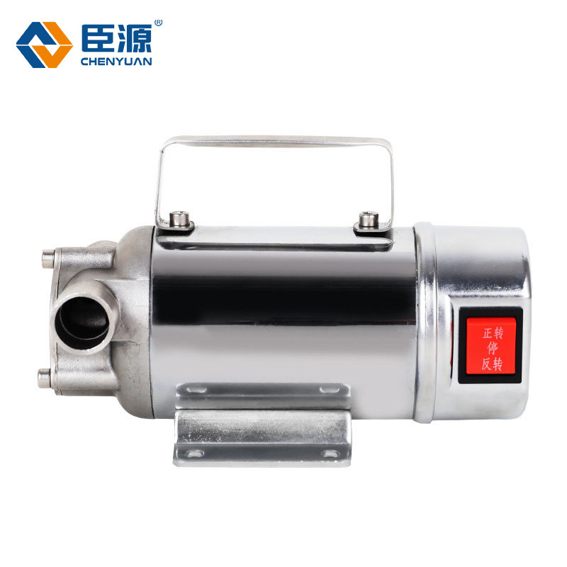 臣源不锈钢抽油泵柴油泵正反转电动油泵12V24V220V直流加油泵手动