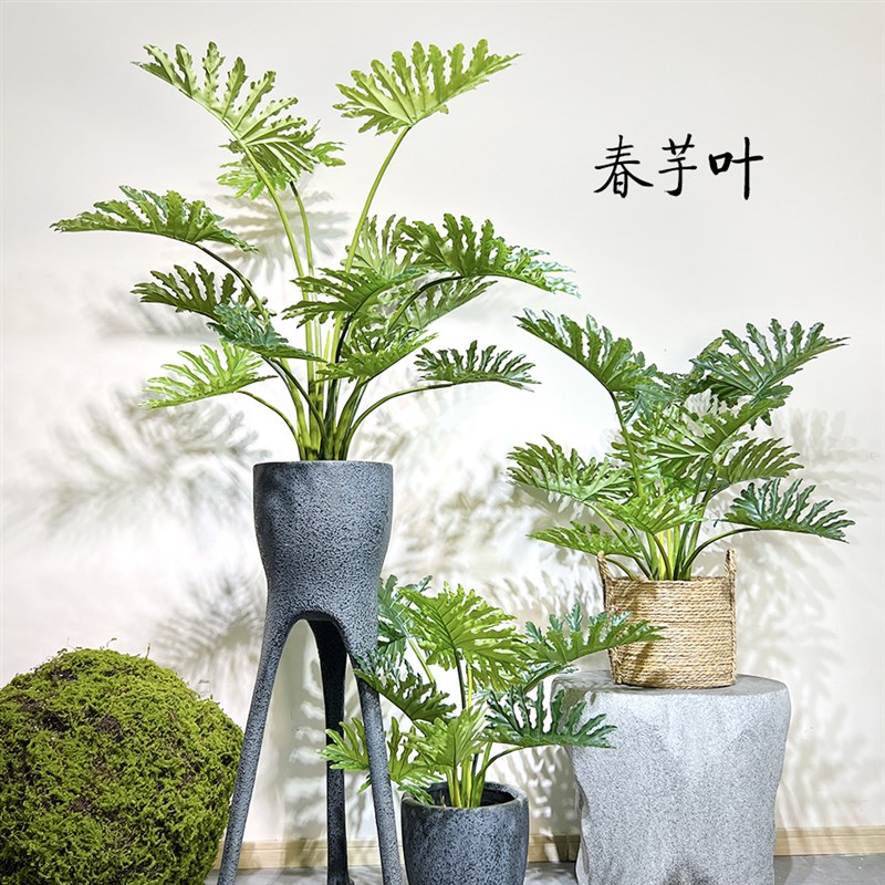 仿真春芋叶龟背花烛o假树绿植物盆栽室内客厅阳台庭院景观装饰摆