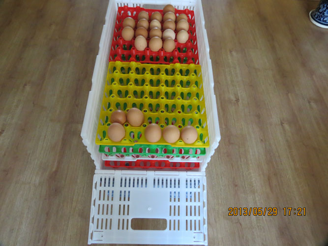 塑料折叠鸡蛋箱 聚丙稀原料 鸡蛋周转箱 折叠箱 蛋U盘蛋托塑料蛋