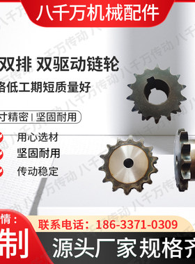 假双排双驱动链轮h08B4分10A5分12A六分16A一寸10-25齿 挂2根链条