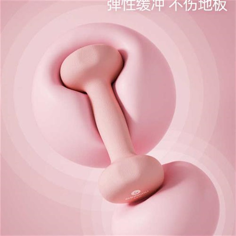 新款哑铃家用健身女士磨砂浸塑防汗防滑学生锻炼男实心小哑铃