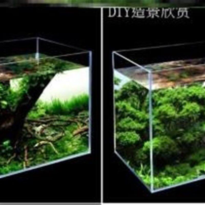 金晶五线超白鱼缸罗汉缸一米二的80x40cm3060P0玻璃山东桌面高透3